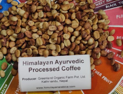 Himalayan Ayurvedic Processed Coffee: A Next Generation Of Carbonic Maceration
