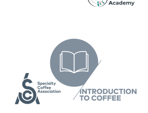 SCA Certified Introduction to Coffee Course Jul 14, 2022