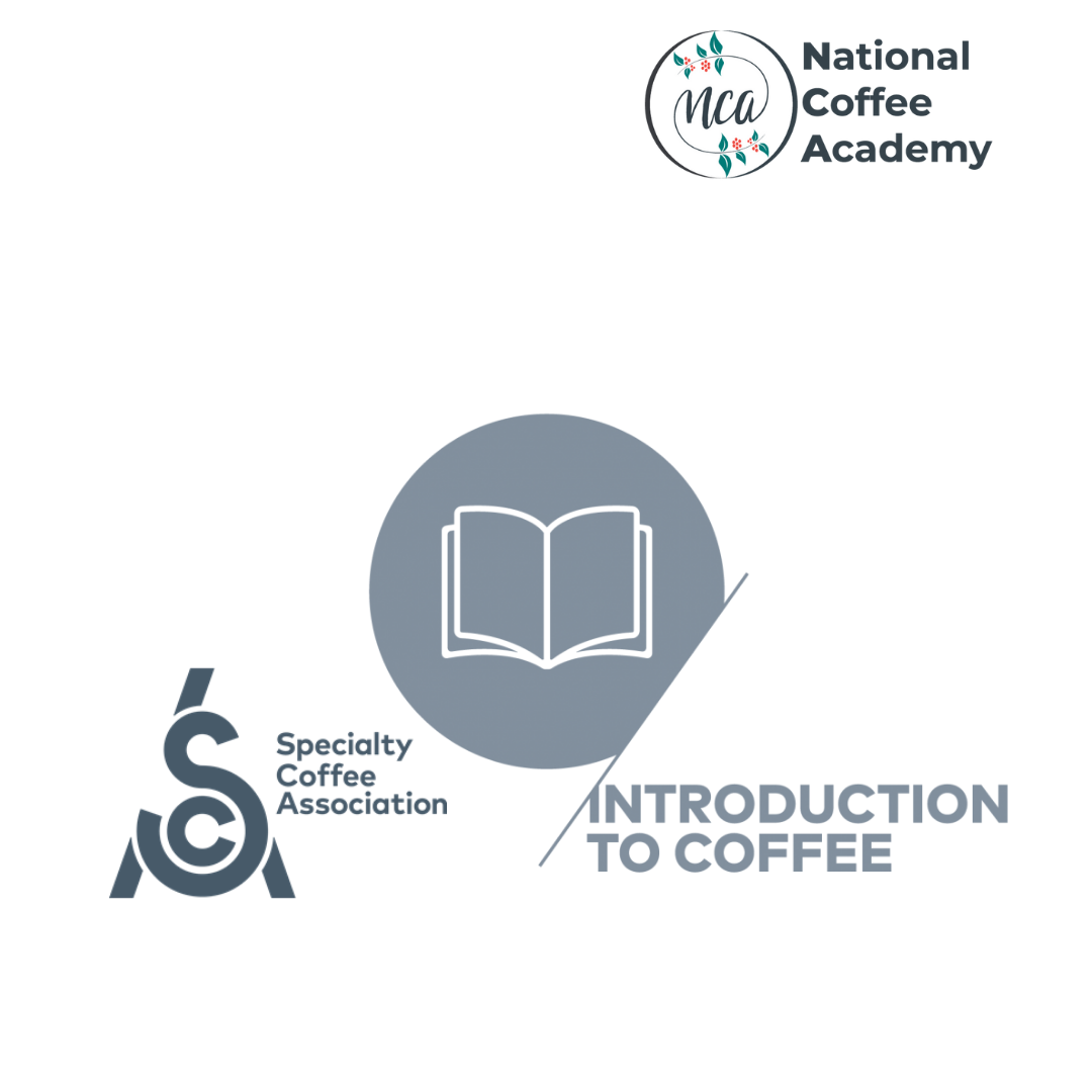 SCA introduction to coffee