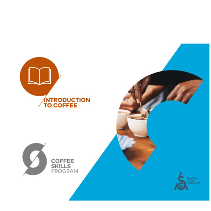 SAC Certified Introduction to coffee course at NCA