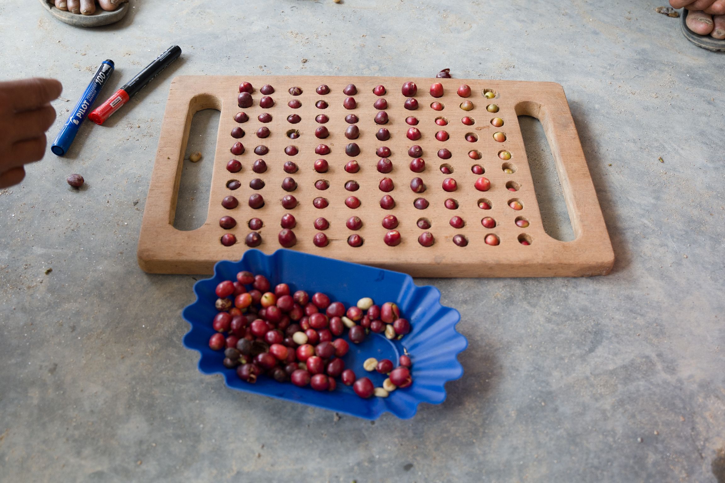 Nepal Coffee (17 of 71) Inclusive Coffee Processing Training for people with disabilities
