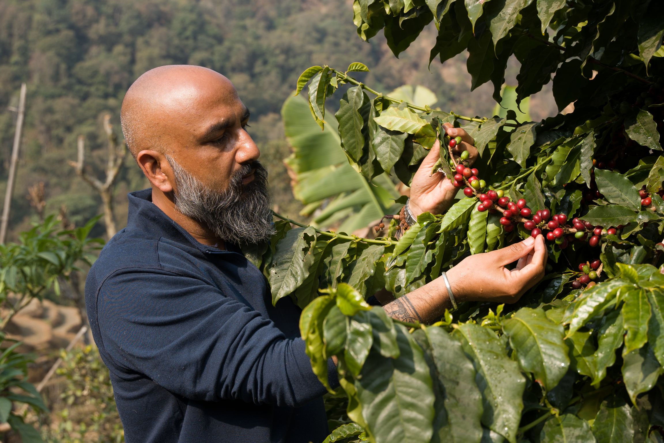 Nepal Coffee (62 of 71)