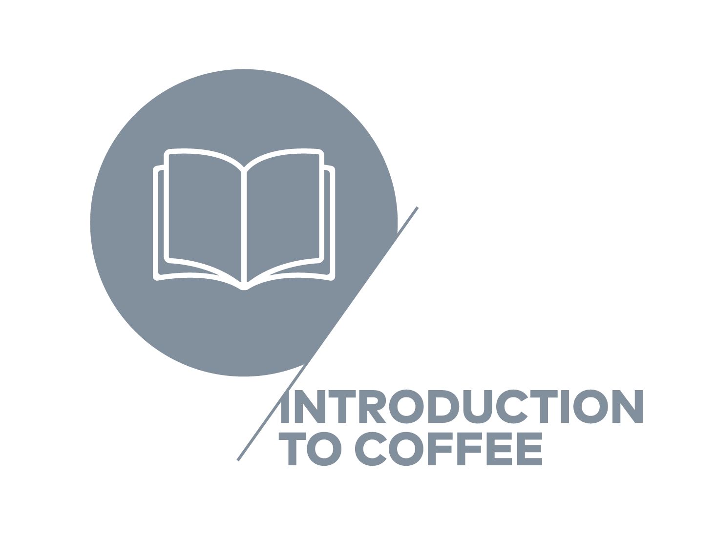 SCA Introduction to Coffee Training